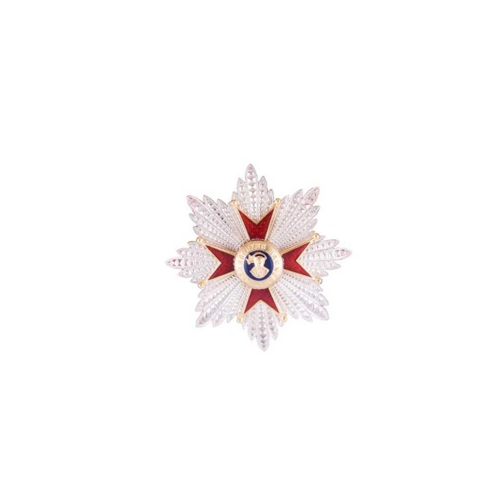 La Placca per Grand'Ufficiale Ordine San Gregorio Magno è una medaglia gioiello a forma di stella con raggi rossi e bianchi e un emblema circolare centrale, che ricorda il distintivo ufficiale dell'Ordine di San Gregorio.