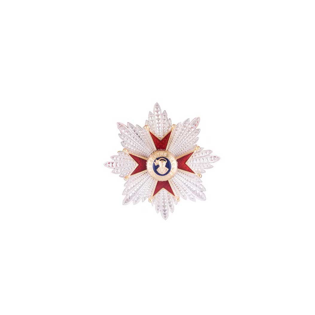 La Placca per Grand'Ufficiale Ordine San Gregorio Magno è una medaglia gioiello a forma di stella con raggi rossi e bianchi e un emblema circolare centrale, che ricorda il distintivo ufficiale dell'Ordine di San Gregorio.